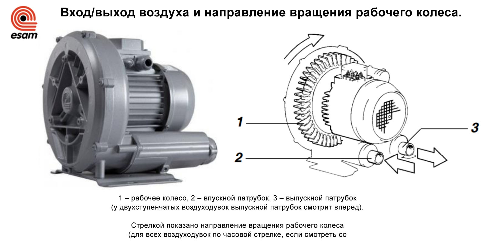 Вход и выход воздуха. Вращения рабочего колеса воздуходувки Esam