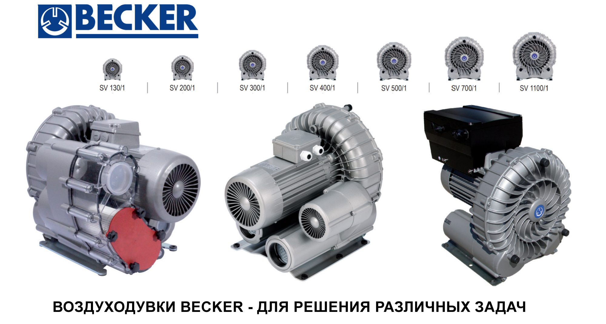 ������������� Becker